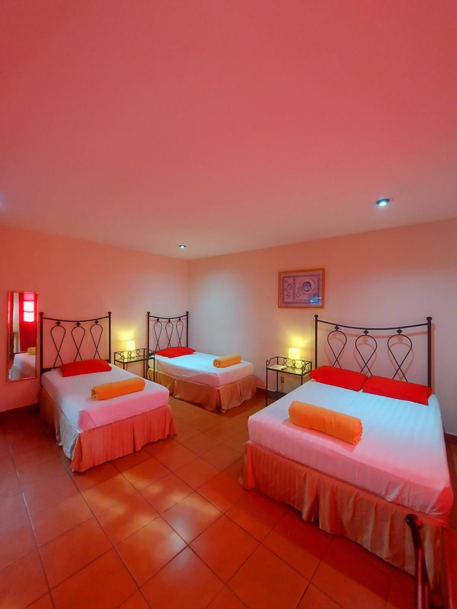 Hostal Lolita'S Boutique Granada Dış mekan fotoğraf