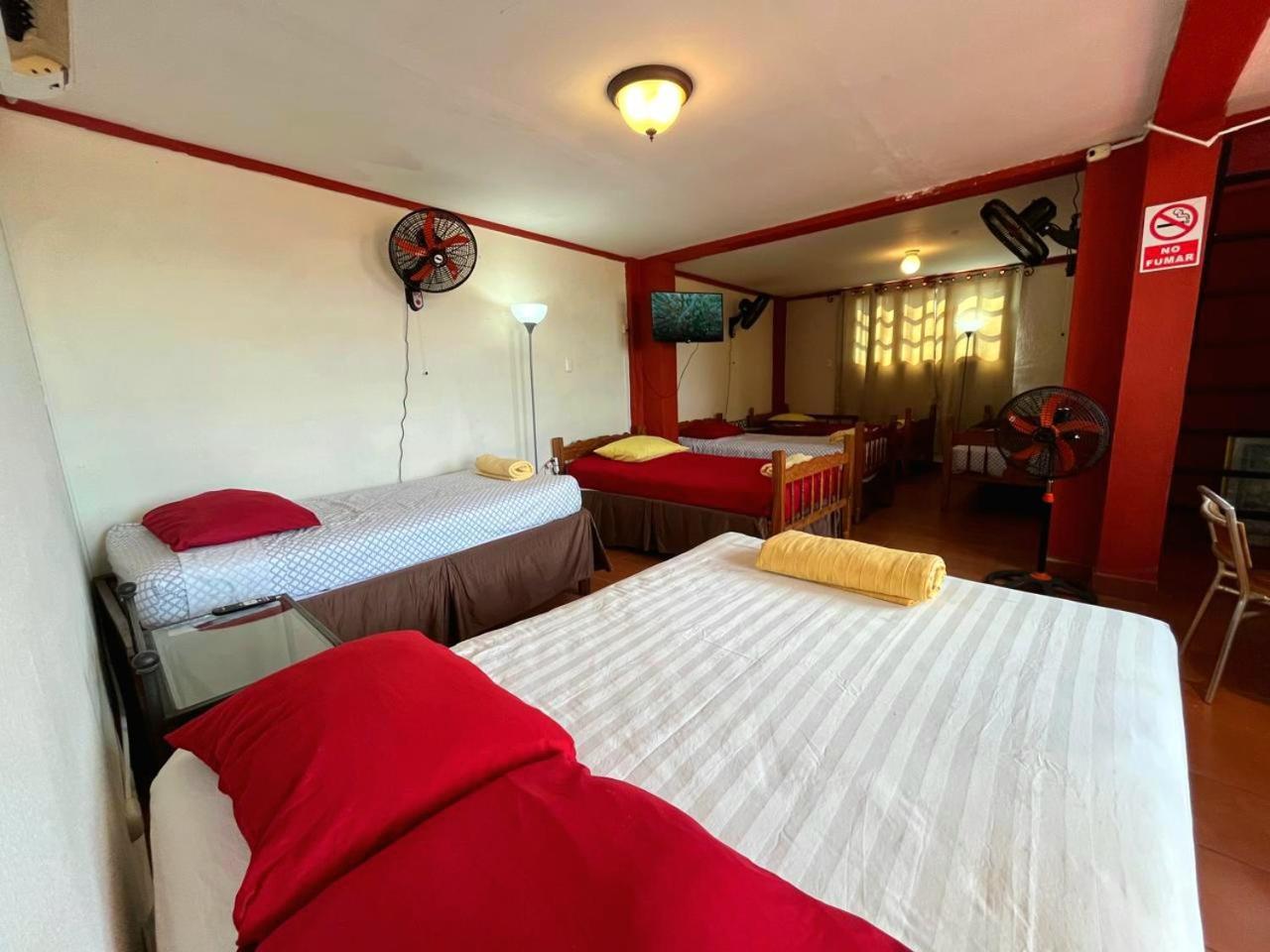 Hostal Lolita'S Boutique Granada Dış mekan fotoğraf