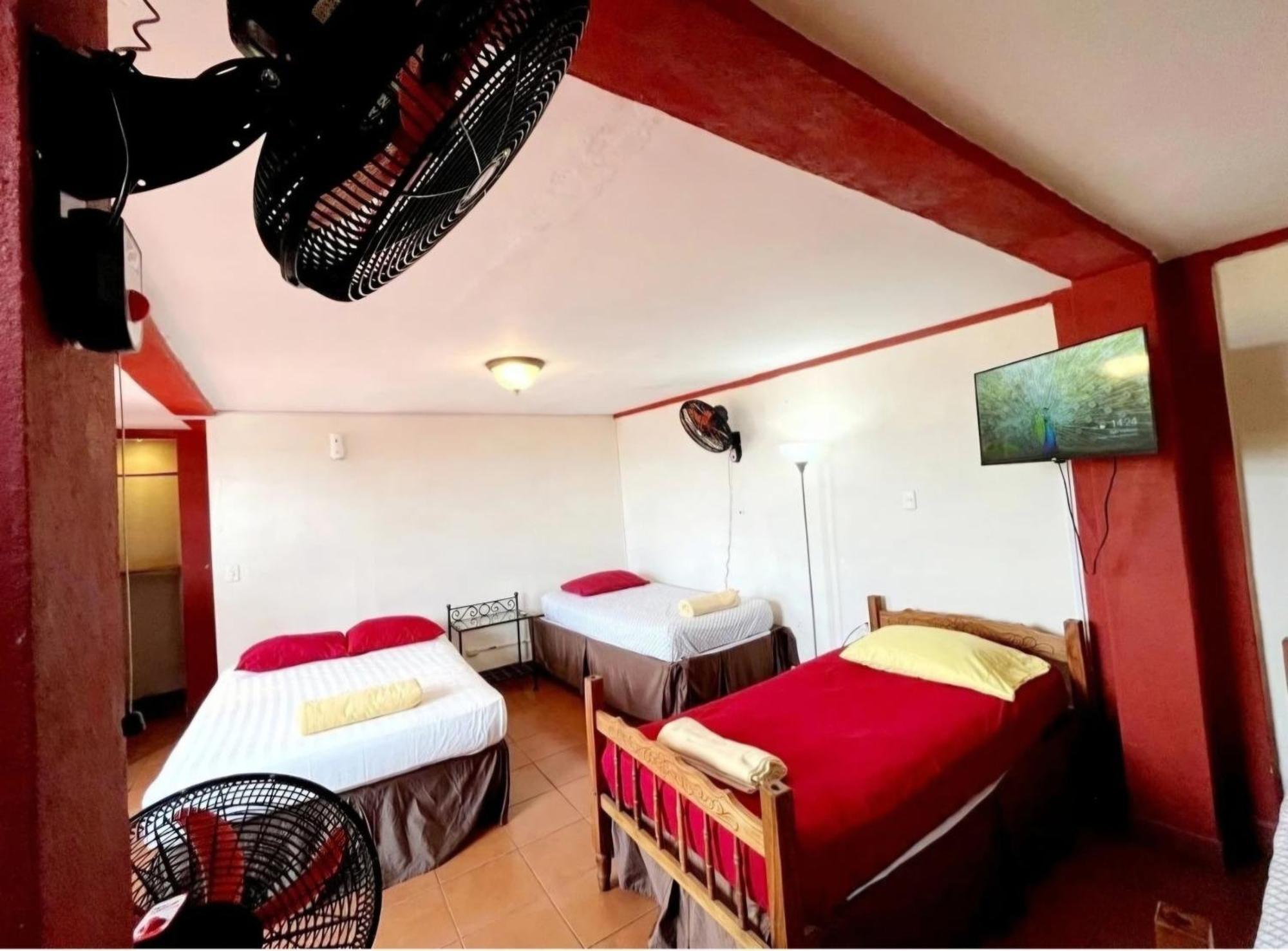 Hostal Lolita'S Boutique Granada Dış mekan fotoğraf